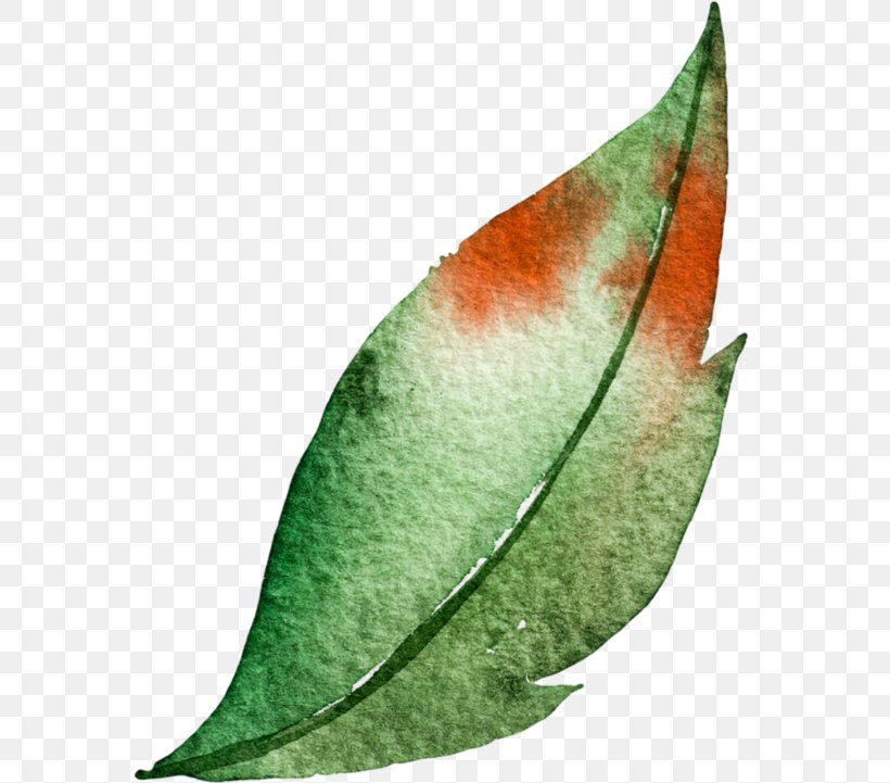 Watercolor Painting Leaf Green, PNG, 600x721px, Watercolor Painting, Color, Green, Ink, Leaf Download Free