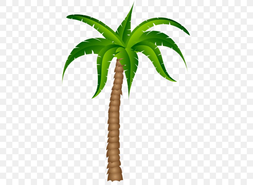 Arecaceae Tree Clip Art, PNG, 445x600px, Arecaceae, Arecales, Coconut, Date Palm, Document Download Free