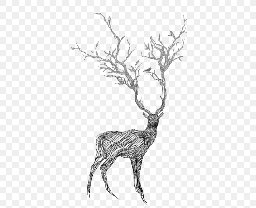 Deer Drawing Art Painting, PNG, 500x667px, Deer, Antler, Art, Black And White, Blue Download Free