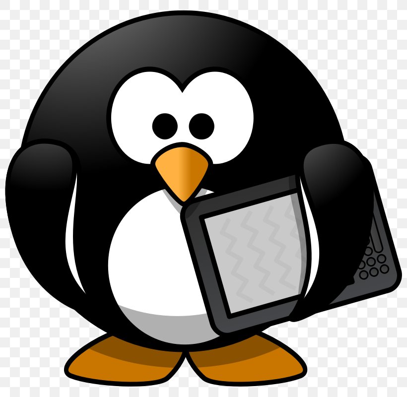 Piracy Free Content Website Clip Art, PNG, 800x800px, Piracy, Animation, Artwork, Beak, Bird Download Free