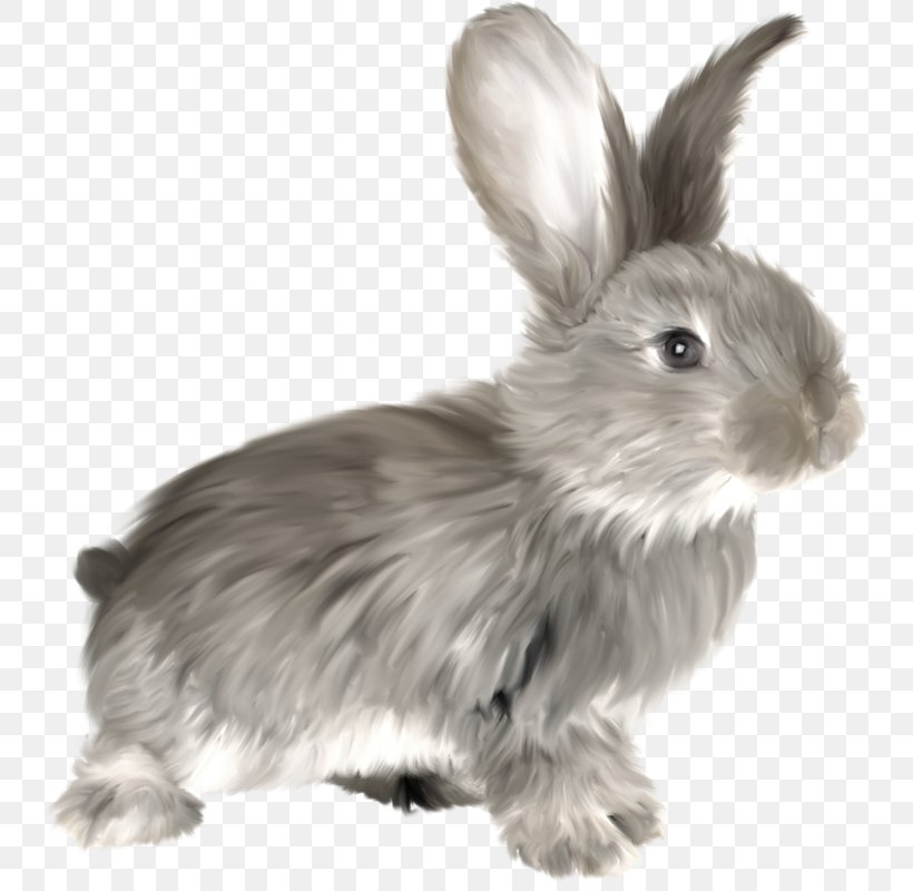 Rabbit Clip Art, PNG, 740x800px, Rabbit, Black And White, Blog, Computer Cluster, Domestic Rabbit Download Free