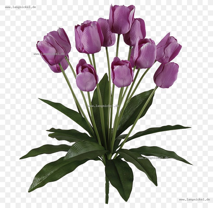 Floral Design Cut Flowers Tulip Flower Bouquet, PNG, 800x800px, Floral Design, Bud, Cut Flowers, Floristry, Flower Download Free