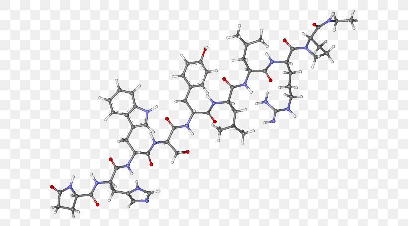 Leuprorelin Gonadotropin-releasing Hormone Agonist Gonadotropin-releasing Hormone Analogue, PNG, 640x454px, Leuprorelin, Agonist, Area, Branch, Chemical Synthesis Download Free