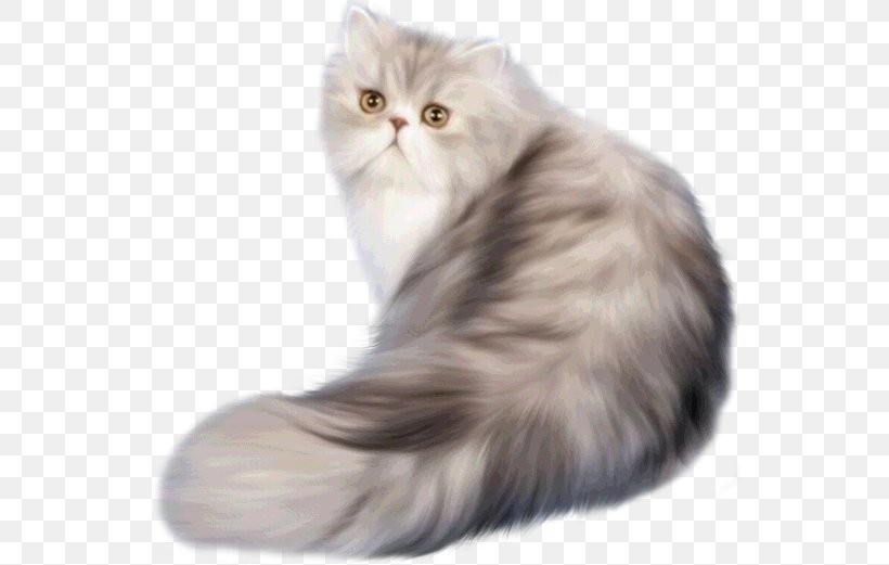Persian Cat Classic Persian Himalayan Cat Russian Blue Kitten, PNG, 547x521px, Persian Cat, Asian, Asian Semi Longhair, Avatar, Breed Download Free