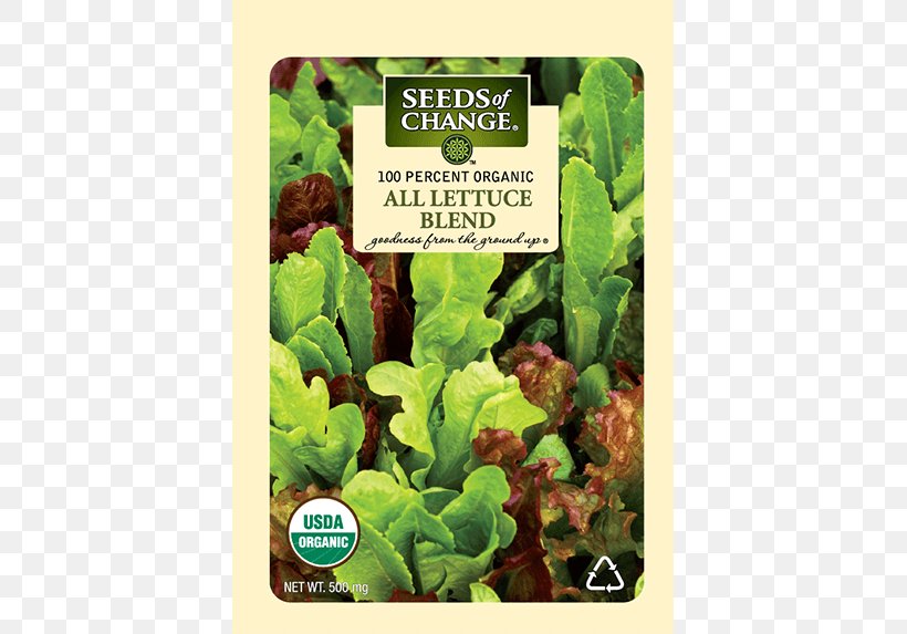 Romaine Lettuce Organic Food Seeds Of Change, PNG, 573x573px, Romaine Lettuce, Chard, Herb, Lactuca, Leaf Vegetable Download Free