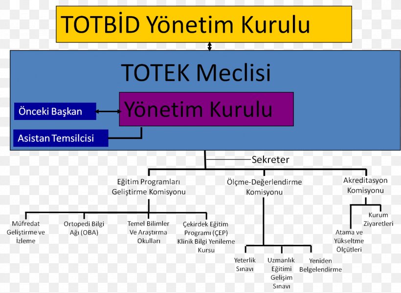 Traumatology Orthopaedics Education Founding Chairman Organization, PNG, 1384x1016px, Traumatology, Area, Diagram, Document, Education Download Free