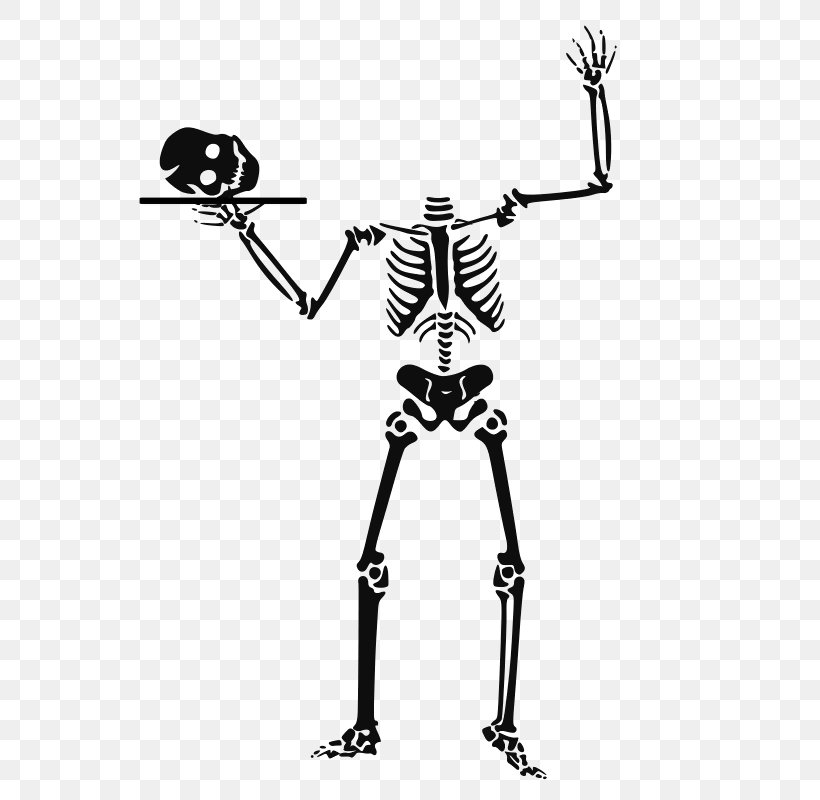 Vector Graphics Clip Art Skeleton Skull Image, PNG, 640x800px, Skeleton, Black And White, Bone, Fictional Character, Hand Download Free