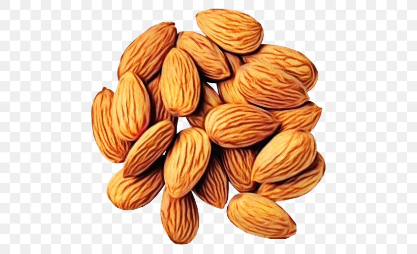 Almond Nut Food Apricot Kernel Nuts & Seeds, PNG, 500x500px, Watercolor, Almond, Apricot Kernel, Cuisine, Food Download Free