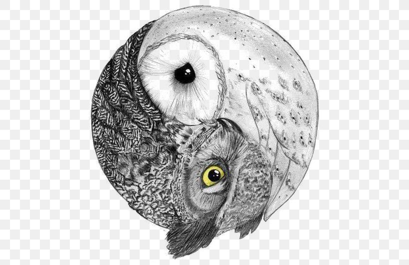 Barred Owl Yin And Yang Bird Barn Owl, PNG, 480x531px, Watercolor, Cartoon, Flower, Frame, Heart Download Free