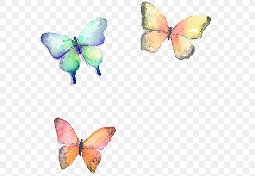 Butterfly 16K Resolution, PNG, 567x567px, 8k Resolution, 16k Resolution, 2017, Butterfly, Brush Footed Butterfly Download Free