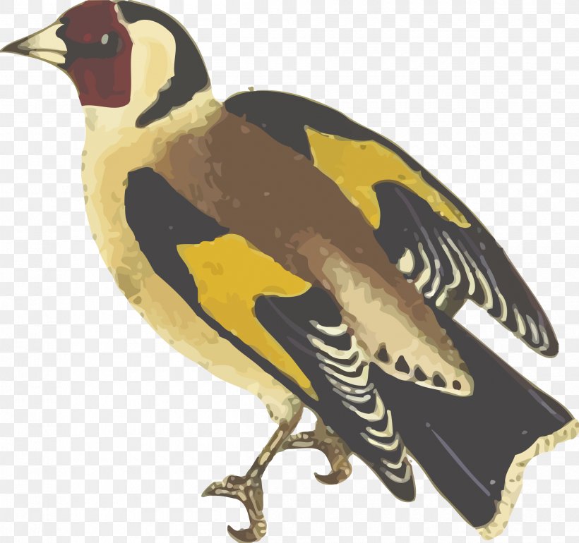 European Goldfinch Bird Duck Clip Art, PNG, 2400x2254px, Finch, Acridotheres, Animal, Beak, Bird Download Free