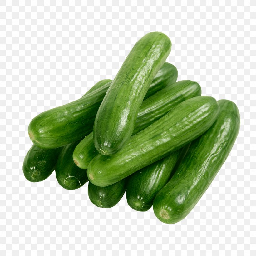Spreewald Gherkins Food Slicing Cucumber Clip Art, PNG, 1024x1024px, Spreewald Gherkins, Cucumber, Cucumber Gourd And Melon Family, Cucumis, Food Download Free