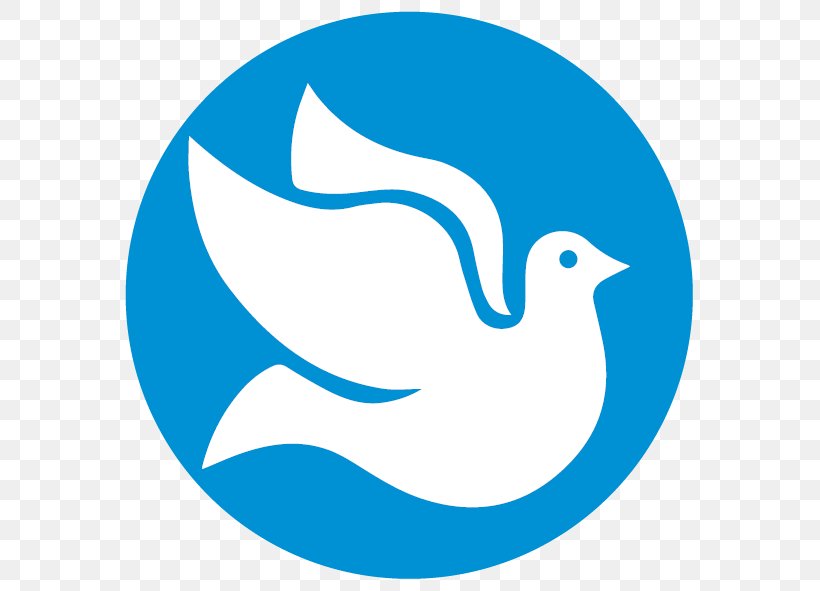 Bird Logo, PNG, 591x591px, Beak, Bird, Duck, Ducks, Goose Download Free