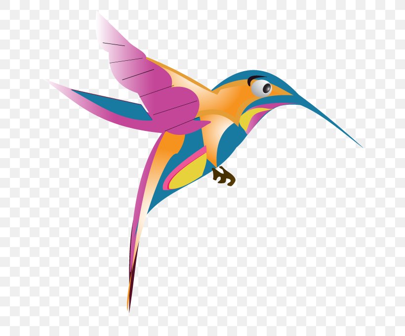 Google Hummingbird Google Images, PNG, 680x680px, Hummingbird, Beak, Bird, Feather, Google Download Free