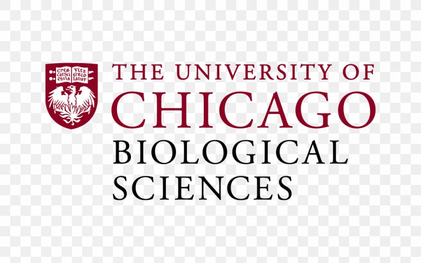 University Of Chicago Laboratory Schools Pritzker School Of Medicine, PNG, 1000x625px, University Of Chicago, Academic Degree, Area, Brand, Chicago Download Free