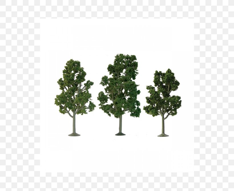 American Sycamore HO Scale N Scale Tree London Plane, PNG, 540x670px, American Sycamore, Branch, Evergreen, Flowerpot, Ho Scale Download Free