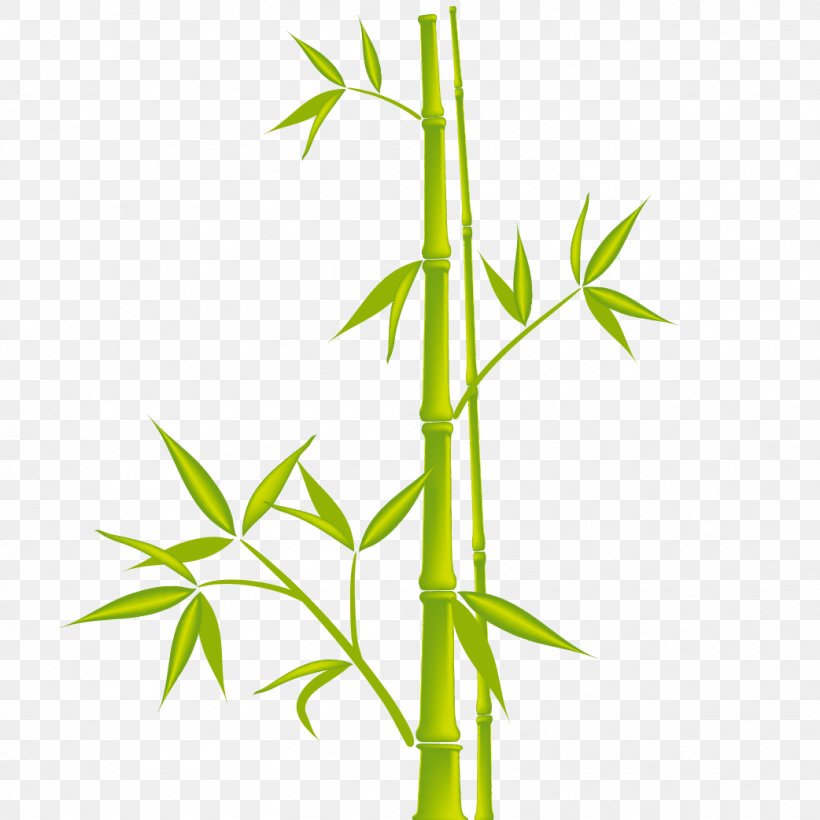 Bamboo Royalty-free Clip Art, PNG, 1042x1042px, Bamboo, Branch, Depositphotos, Drawing, Grass Download Free