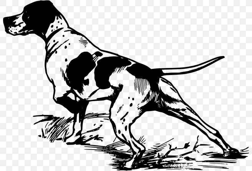 Pointer Greyhound Hunting Dog Clip Art, PNG, 800x556px, Pointer, Art, Artwork, Bird Dog, Black And White Download Free