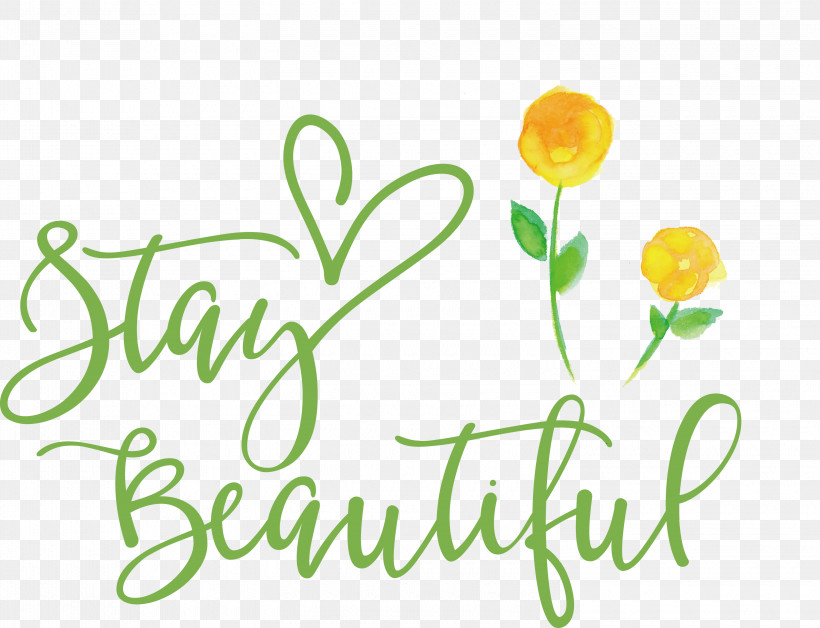 Stay Beautiful Fashion, PNG, 3000x2299px, Stay Beautiful, Cut Flowers, Fashion, Floral Design, Flower Download Free