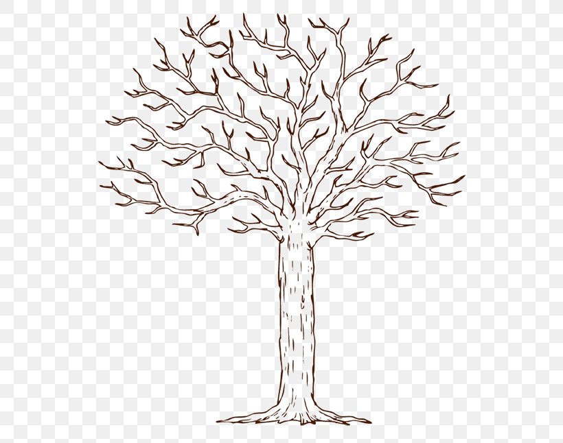 Template Tree Guestbook Microsoft Word Diagram, PNG, 586x646px, Template, Artwork, Black And White, Branch, Data Download Free