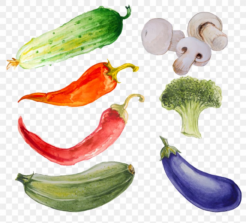 Vegetable Watercolor Painting Illustration Cucumber, PNG, 2800x2544px, Vegetable, Aubergines, Banana, Bell Peppers And Chili Peppers, Cartoon Download Free