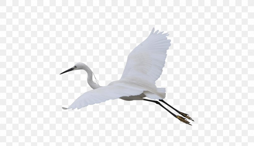 Crane Computer File, PNG, 1318x760px, Crane, Beak, Bird, Crane Like Bird, Ducks Geese And Swans Download Free