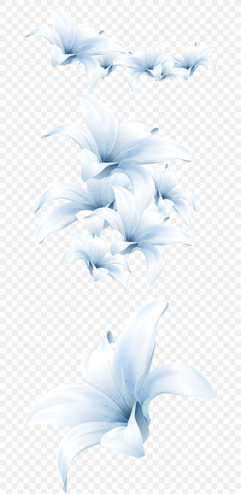 Flower Madonna Lily Petal Image, PNG, 658x1677px, Flower, Blue, Botany, Feather, Lily Download Free