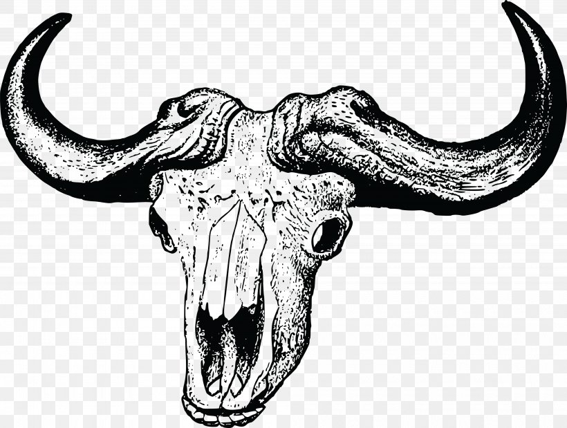 Skull African Buffalo Clip Art, PNG, 4000x3024px, Skull, African Buffalo, American Bison, Black And White, Bone Download Free