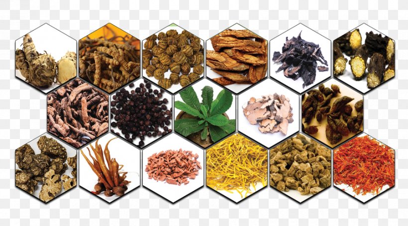 Herb Thai Basil Zingiber Cassumunar Health Food, PNG, 900x500px, Herb, Alpinia Galanga, Asian Ginseng, Basil, Betel Download Free