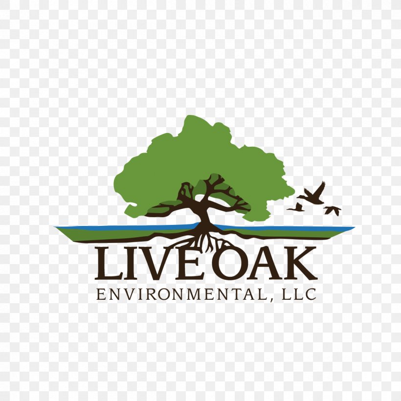Live Oak Environmental Commercial Waste Waste Management Landfill, PNG, 1200x1200px, Commercial Waste, Brand, Business, Dumpster, Hazardous Waste Download Free