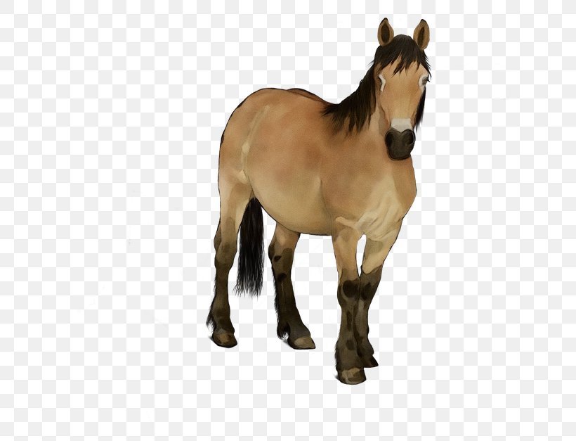 Mane Horse, PNG, 640x627px, Mane, Animal Figure, Bay, Calculator, Colt Download Free