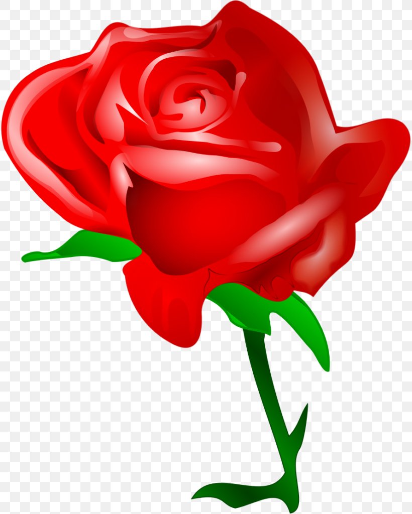 Rose Flower Clip Art, PNG, 816x1024px, Rose, Cut Flowers, Floral Design, Flower, Flowering Plant Download Free