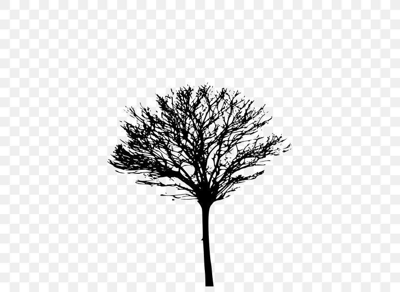 Tree Trunk Drawing, PNG, 424x600px, Twig, Architecture, Blackandwhite, Branch, Coloring Book Download Free