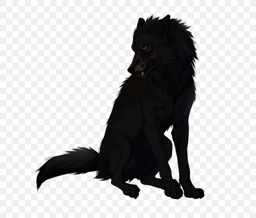 Black Wolf Schipperke African Wild Dog Canidae Arctic Wolf, PNG ...