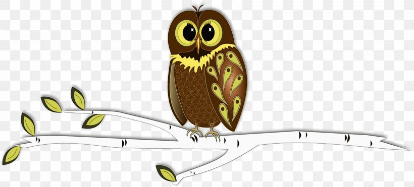 Owl Bird Bird Of Prey Beak Wildlife, PNG, 2921x1325px, Watercolor, Animation, Beak, Bird, Bird Of Prey Download Free