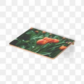 Tulip Material - Table Norden Place Mats PNG