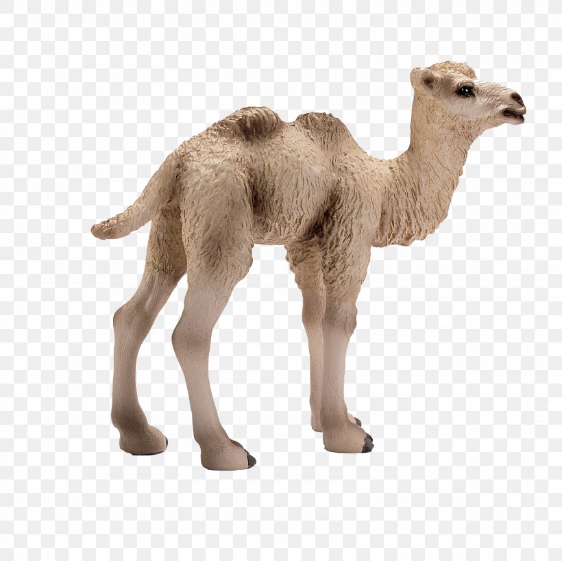Bactrian Camel Dromedary Foal Horse Schleich, PNG, 1600x1600px, Bactrian Camel, Animal, Animal Figure, Arabian Camel, Breyer Animal Creations Download Free