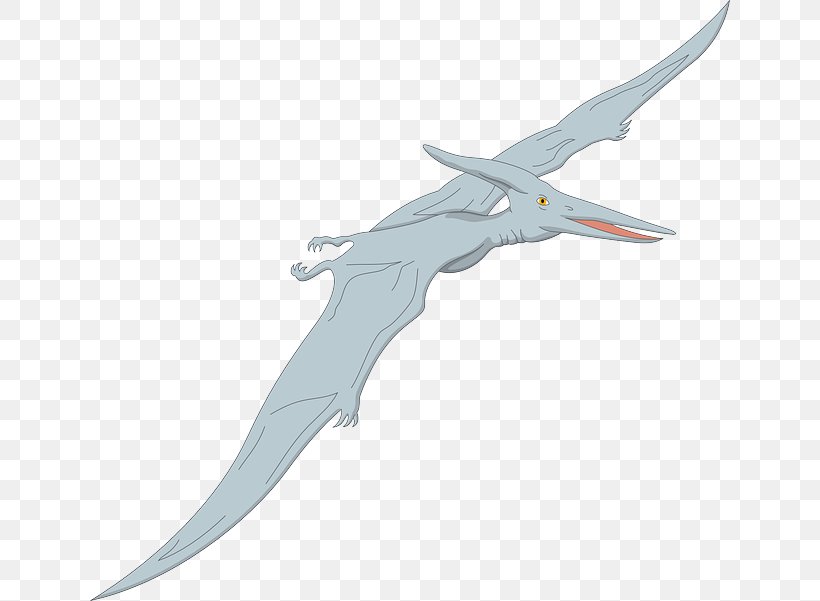 Quetzalcoatlus Pterosaurs Pterodactyls Pteranodon Velociraptor, PNG, 640x601px, Quetzalcoatlus, Carnivores Dinosaur Hunter, Cold Weapon, Dinosaur, Fish Download Free