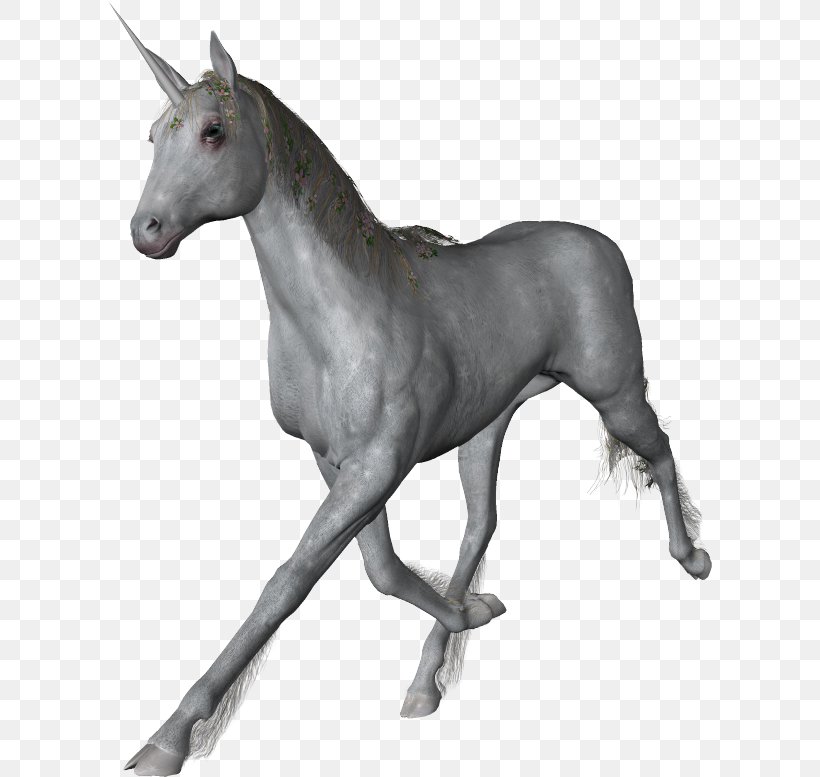 Unicorn Horse Information Download, PNG, 605x777px, Unicorn, Black And White, Fictional Character, Foal, Gimp Download Free