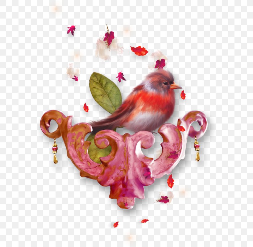 Bird Blog, PNG, 590x800px, Watercolor, Cartoon, Flower, Frame, Heart Download Free