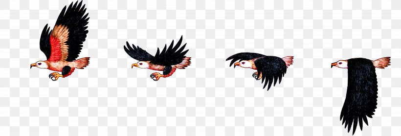 Bird Flight Bird Flight Bald Eagle Sprite, PNG, 3894x1333px, Bird, Animation, Bald Eagle, Beak, Bird Flight Download Free