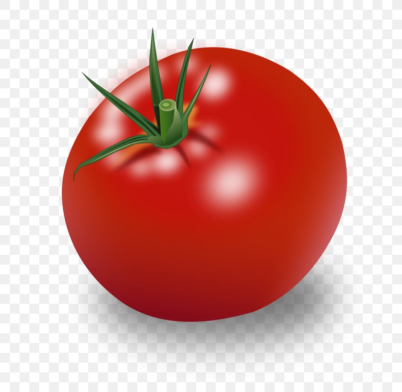 Cherry Tomato Vegetable Clip Art, PNG, 800x800px, Cherry Tomato, Bush Tomato, Diet Food, Display Resolution, Food Download Free