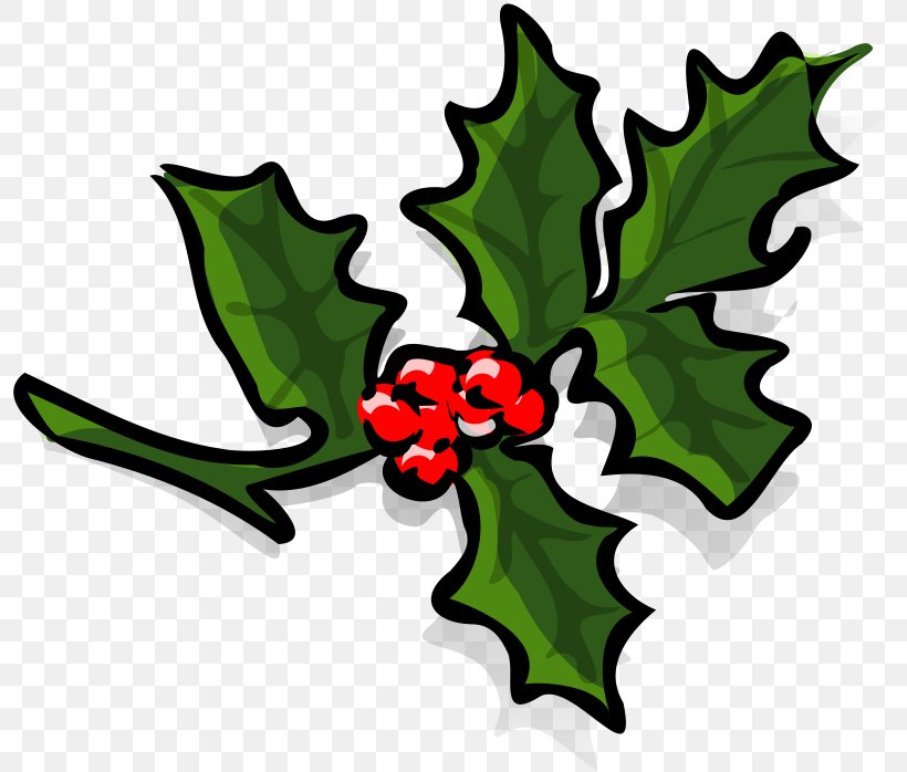 Common Holly Mistletoe Clip Art, PNG, 800x698px, Common Holly, Aquifoliaceae, Aquifoliales, Artwork, Branch Download Free
