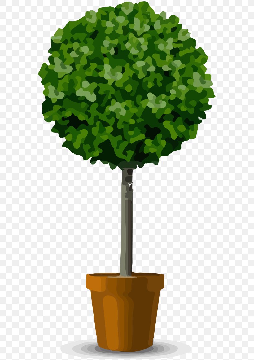 Flowerpot Shrub Tree Pruning, PNG, 575x1162px, Flowerpot, Box, Buxus Sempervirens, Evergreen, Glass Download Free