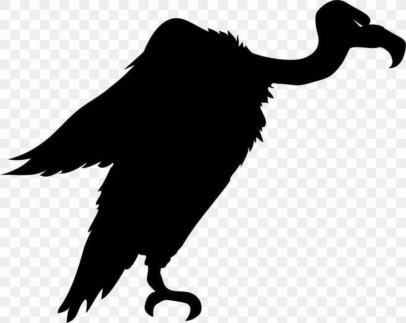 Turkey Vulture Bird Clip Art, PNG, 2353x1875px, Turkey Vulture, Beak, Bearded Vulture, Bird, Bird Of Prey Download Free