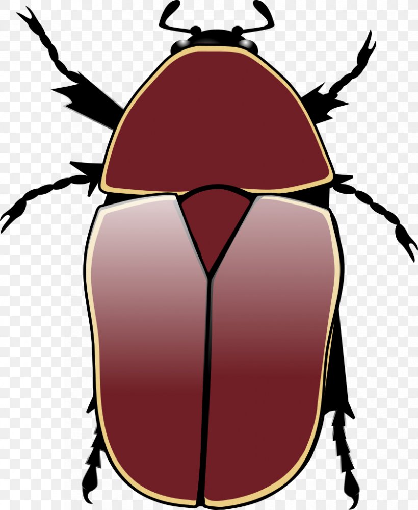 Beetle Pachnoda Marginata Aurantia Cetonia Aurata Animal, PNG, 839x1024px, Beetle, Animal, Arthropod, Artwork, Cetonia Aurata Download Free