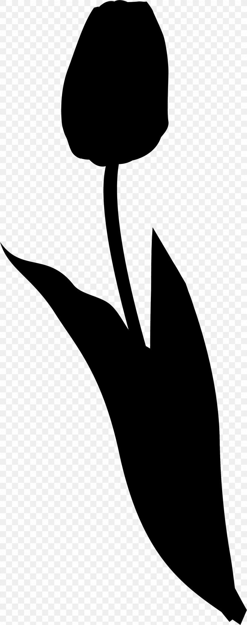 Clip Art Bird Leaf Beak Silhouette, PNG, 1907x4818px, Bird, Anthurium, Beak, Blackandwhite, Botany Download Free