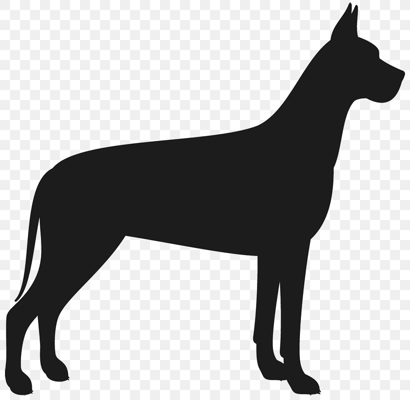 Great Dane Llama Silhouette Bull Terrier, PNG, 800x800px, Great Dane, Black, Black And White, Bull Terrier, Carnivoran Download Free