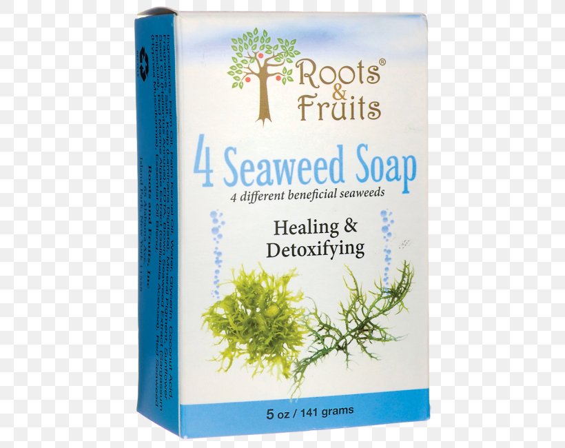 Seaweed Shower Gel Bathing Soap Herb, PNG, 650x650px, Seaweed, Bathing, Culture, Fruit, Grass Download Free