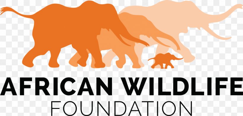 African Wildlife Foundation Organization Elephant, PNG, 1200x573px, Africa, African Wildlife Foundation, Brand, Carnivoran, Cattle Like Mammal Download Free